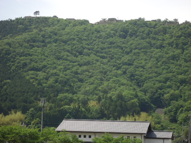 DSC09239