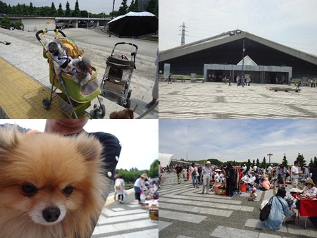 バザー会場