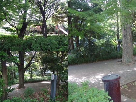駒沢公園手前