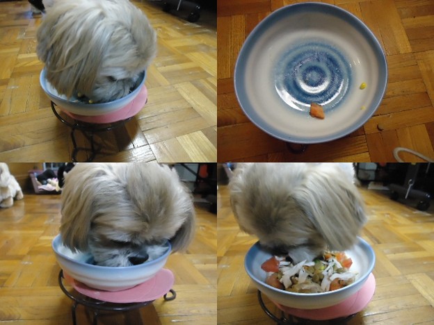 ご馳走食べちゃった