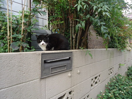 DSC09376