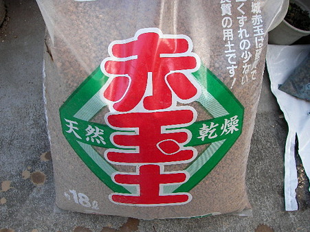 2010 6/17 015