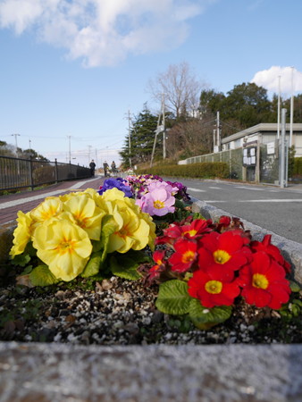 花壇