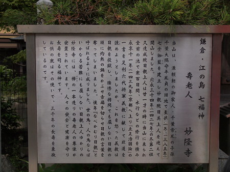 P5239437