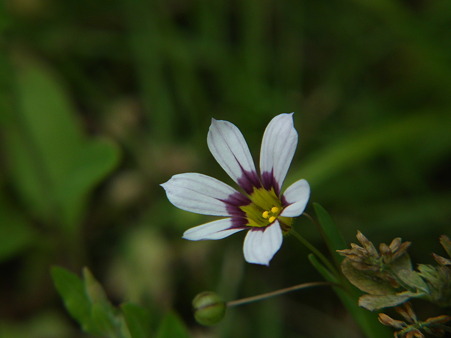 DSCF0292