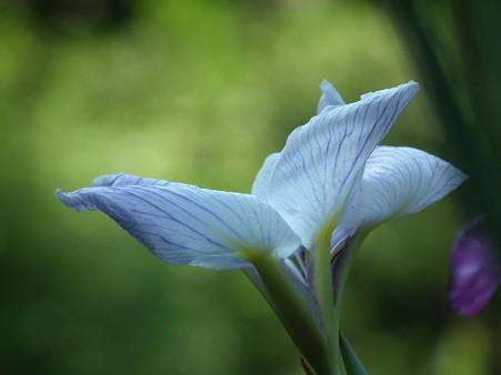 DSCF0486