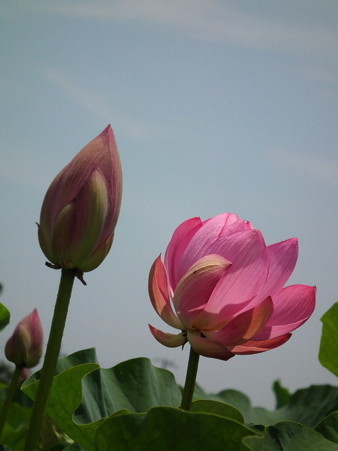 DSCF0172