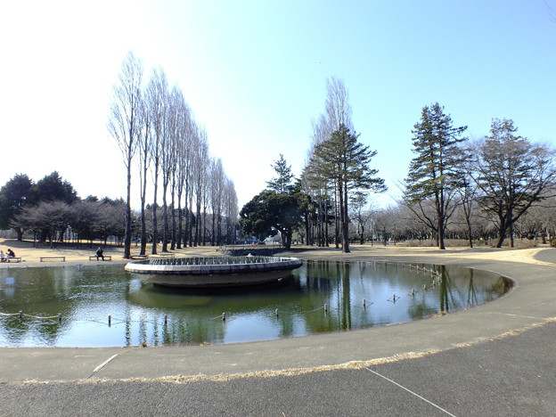 DSCF0255