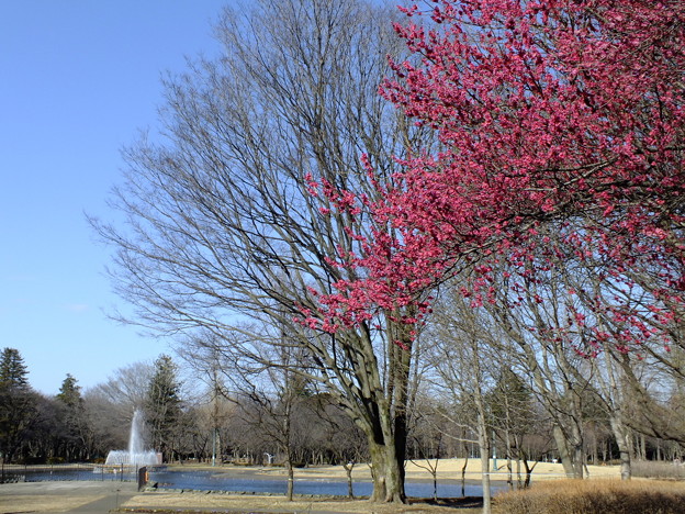 DSCF0306