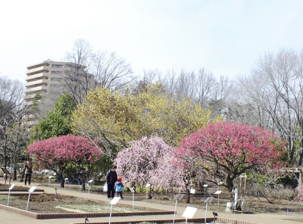 DSCF0355