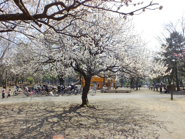DSCF0162