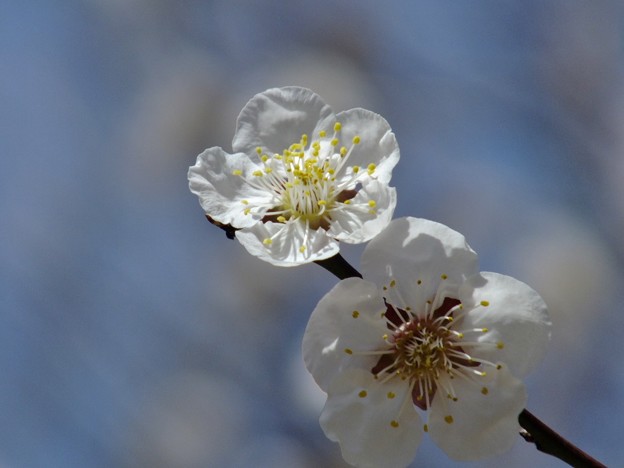 DSCF0187
