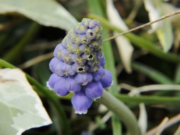 DSCF0361
