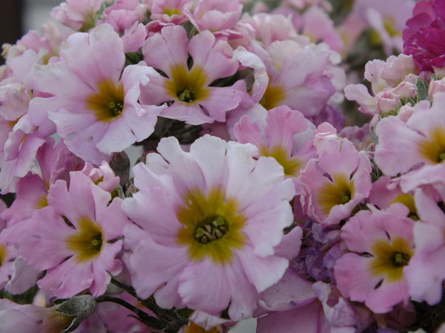 DSCF0394