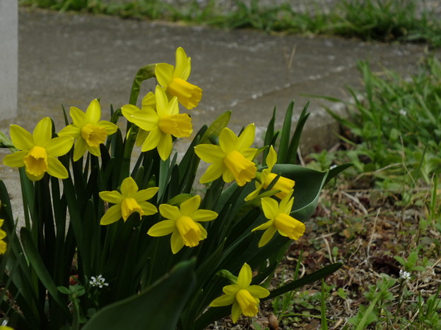 DSCF0419