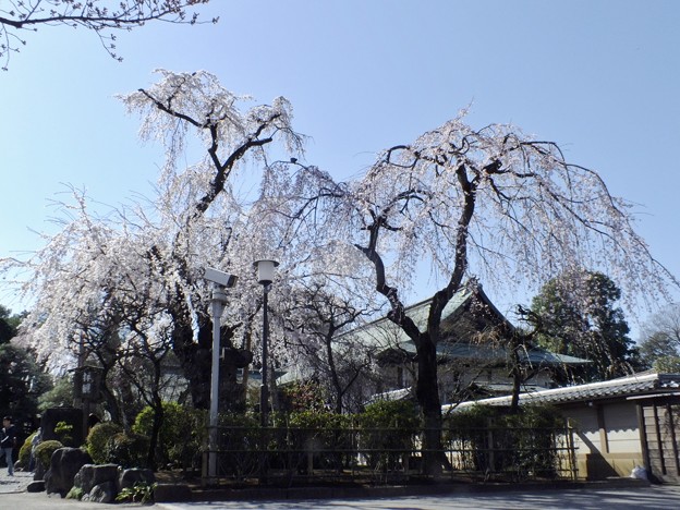 DSCF0414
