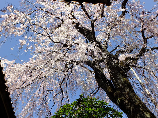 DSCF0172