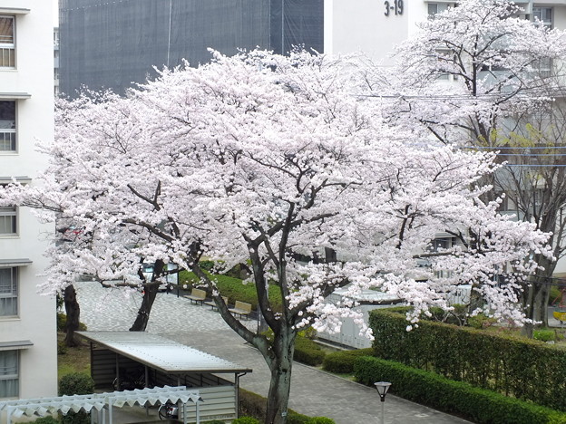 DSCF0019