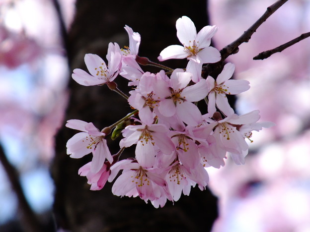 DSCF0272
