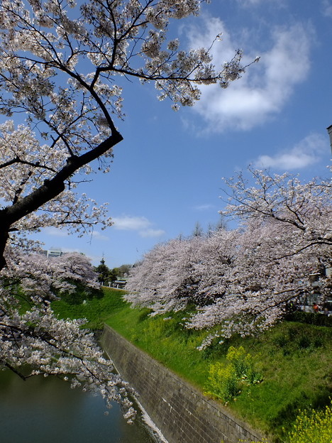 DSCF0017