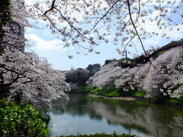 DSCF0030