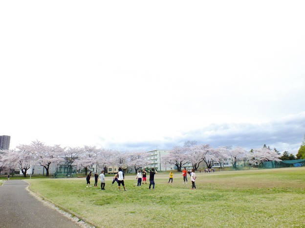 DSCF0038