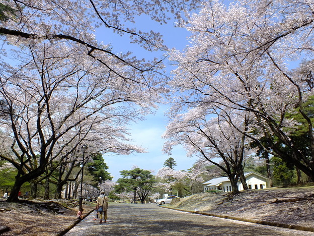 DSCF0141