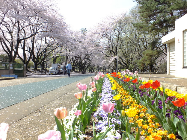 DSCF0097