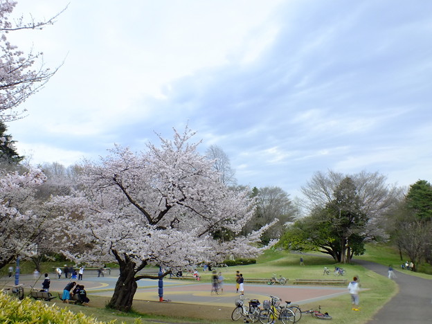DSCF0415
