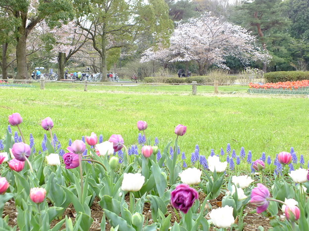 DSCF0162