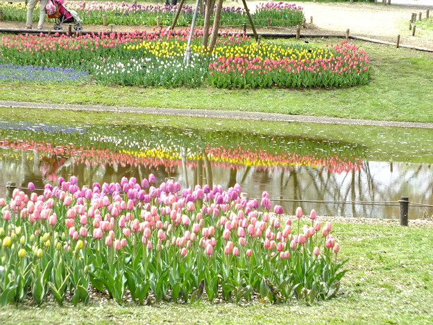DSCF0376