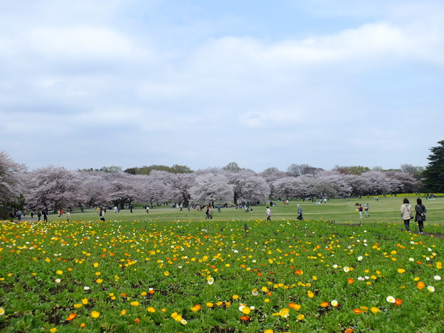 DSCF0349