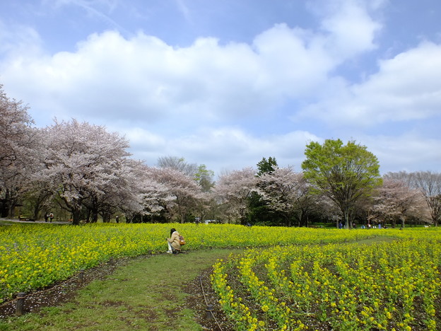 DSCF0425