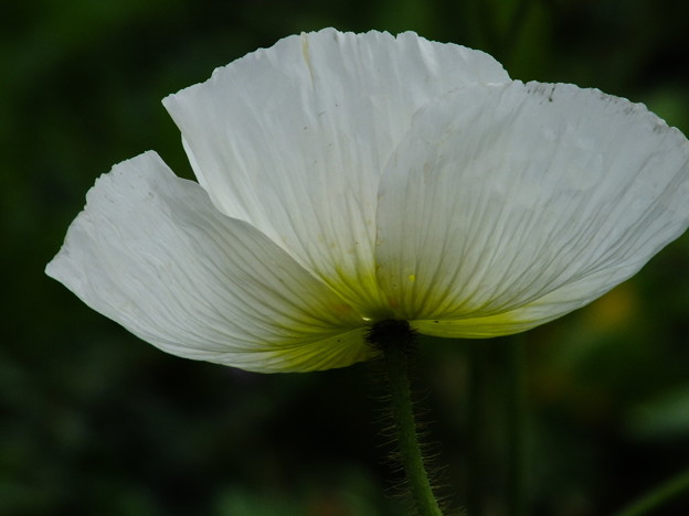 DSCF0493