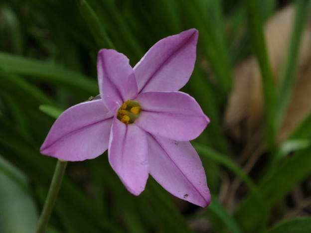 DSCF0598