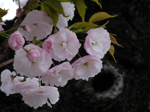 DSCF0026