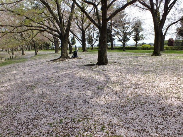 DSCF0061
