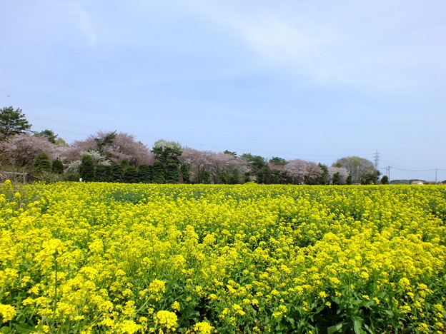 DSCF0021