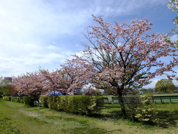 DSCF0073
