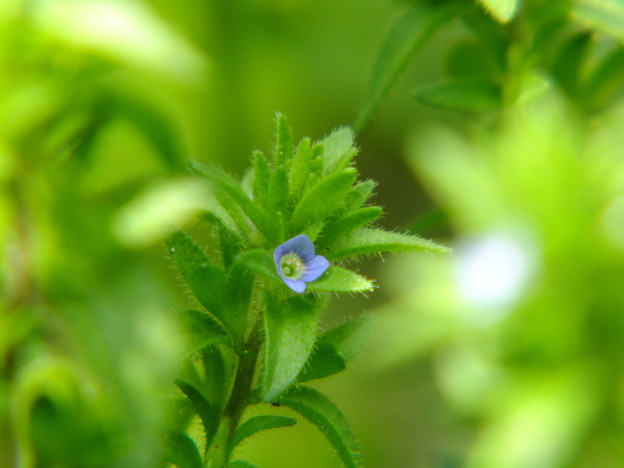 DSCF0190