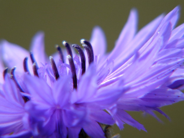 DSCF0162