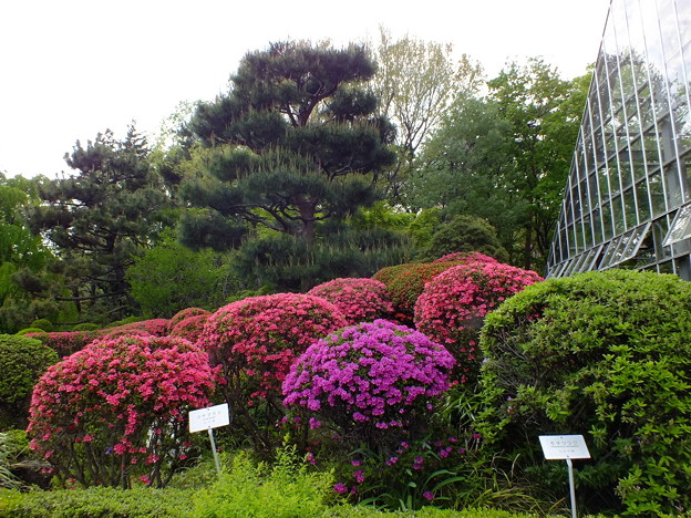 DSCF0490