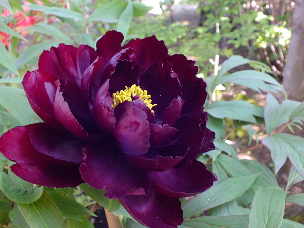 DSCF0235