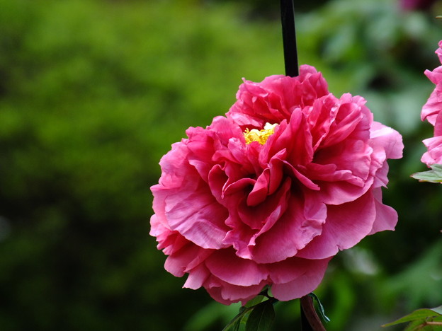 DSCF0341