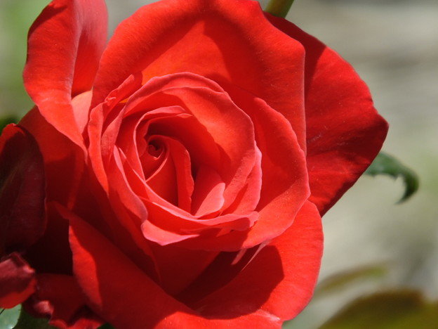 DSCF0380