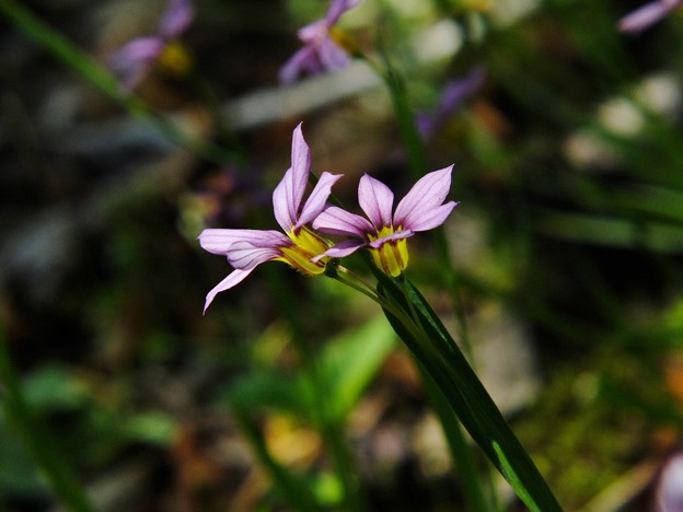 DSCF0257