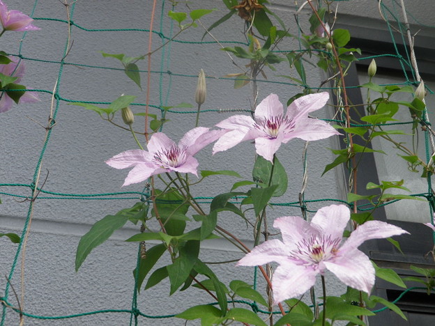 IMGP0228