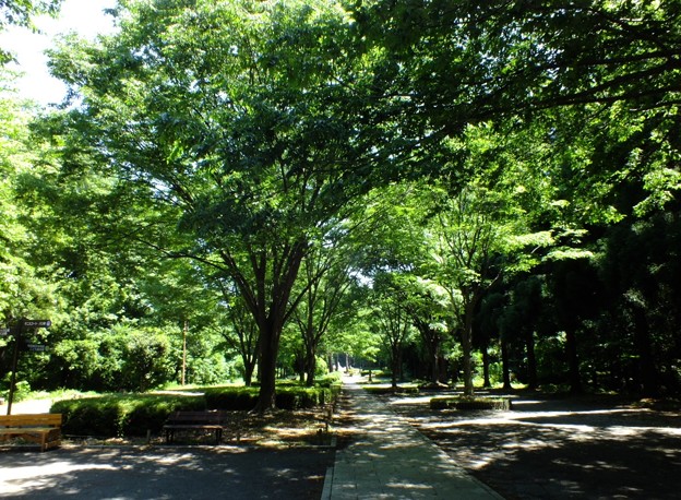 DSCF0003