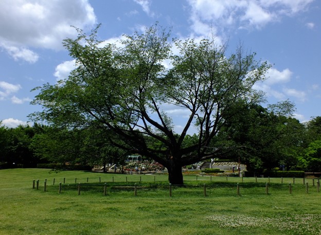DSCF0083