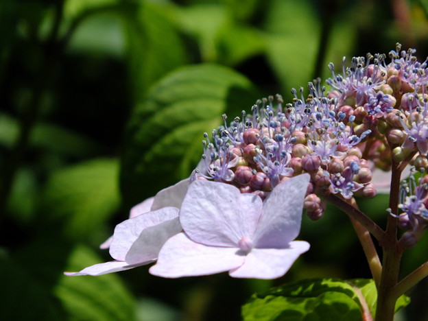 DSCF0177